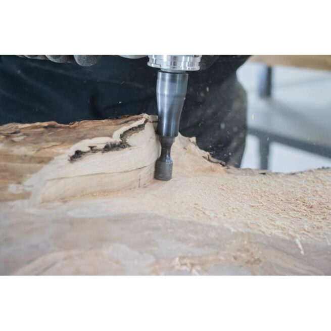 ARBORTECH PRECISION CARVING SYSTEM